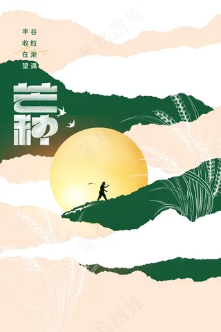 芒种节气传统活动海报