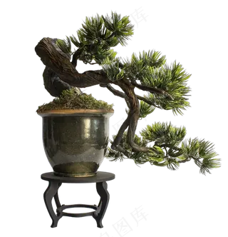 免抠盆景植物