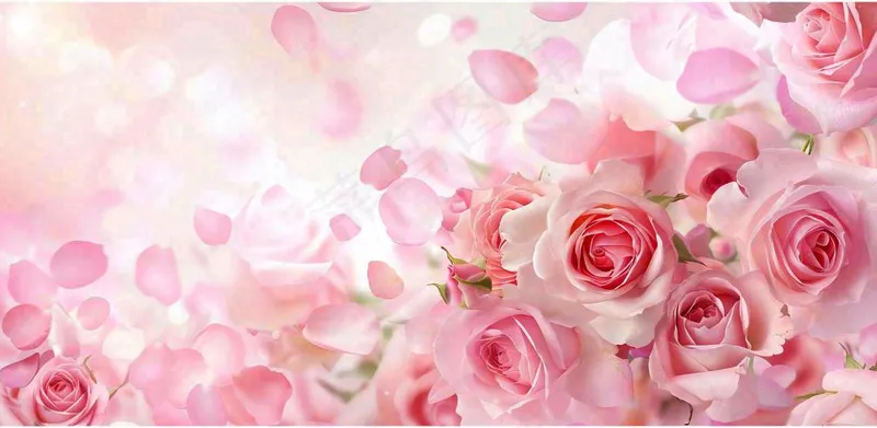 粉红背景上的玫瑰花美丽浪漫梦幻爱情情人节七夕摄影图(1568x768)