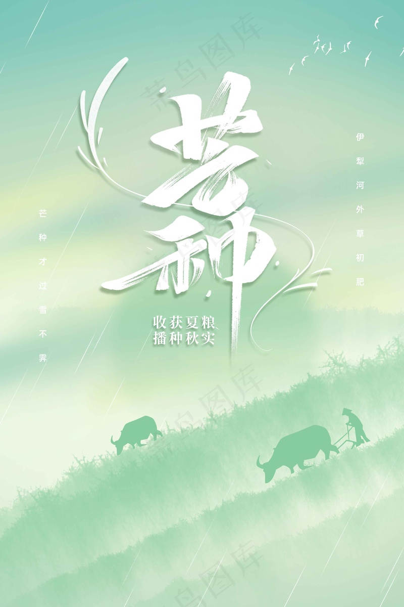 芒种节气传统活动海报psd模版下载