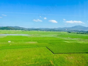 一望无际的田野，春天的气息