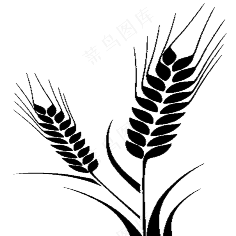 黑白麦子png