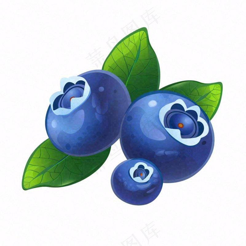 蓝莓水果卡通插画免抠(1024x1024)