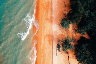 金色沙滩与翠绿树荫下的海岸线