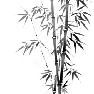 竹林竹叶水墨画古风黑白插画免抠