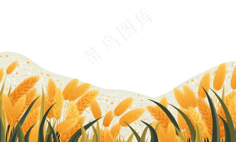 秋季小麦麦穗稻谷麦穗手绘卡通插画免抠(1408x848)