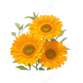 黄色向日葵花朵免抠素材5