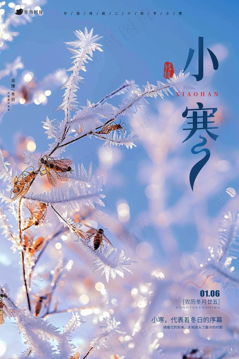 小寒气节海报psd模版下载