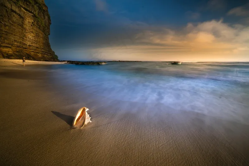 晨光中的海滩与孤独的贝壳