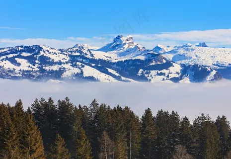 云海雪峰映松林