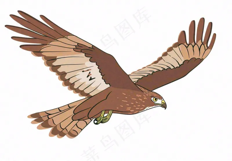 老鹰鸟类卡通插画免抠(1312x912)