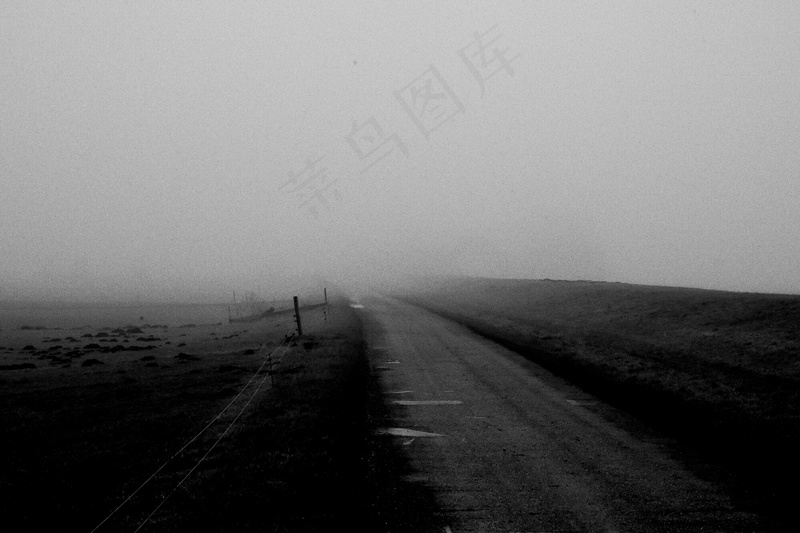 云雾森林图片