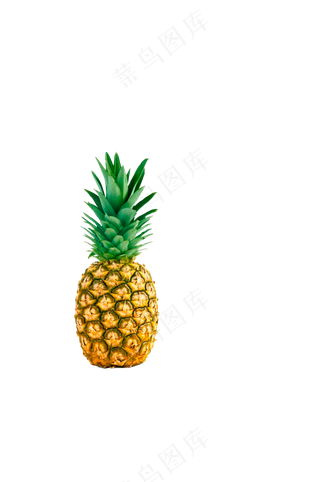 带叶凤梨 免抠