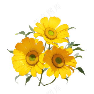 黄色向日葵花朵免抠素材62