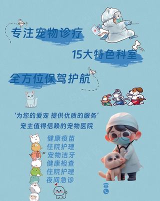 宠物医院海报