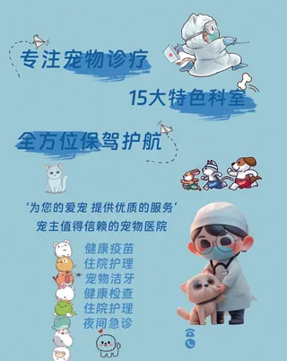 宠物医院海报