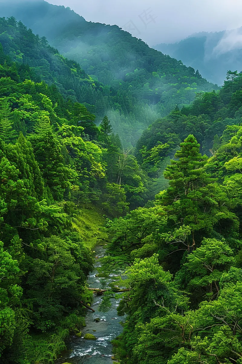 山林森林绿色大自然风景摄影图(2688x4032)