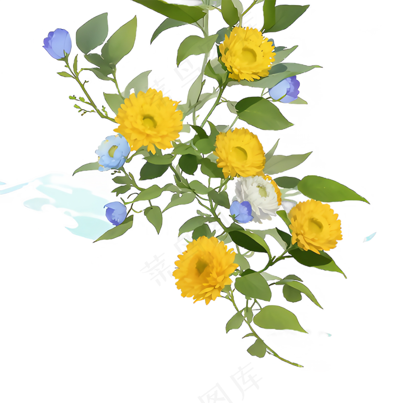 黄色 唯美 手绘 免抠 PNG 花 植物 素材5