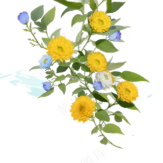 黄色 唯美 手绘 免抠 PNG 花 植物 素材5