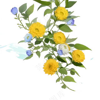 黄色 唯美 手绘 免抠 PNG 花 植物 素材5