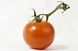 新鲜番茄蔬菜食材