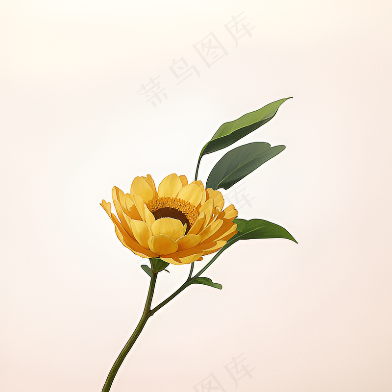 白色黄色手绘新中式风格花植物205