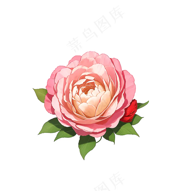 粉色花朵桃花玫瑰免抠素材35