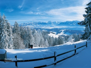 冰景  雪景  冬季风景