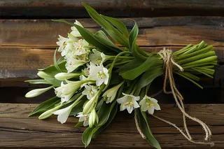 白花花朵鲜花绿叶花束摄影图