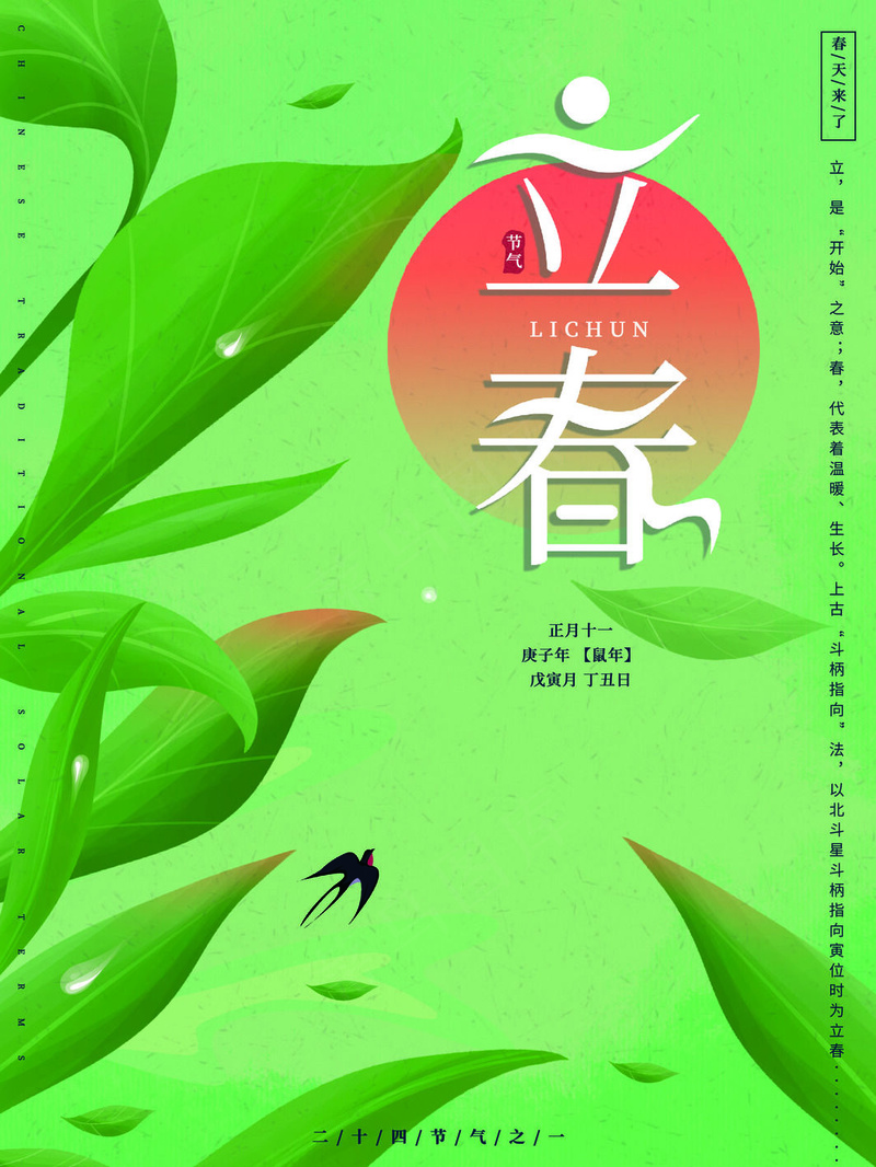 立春简洁海报psd模版下载