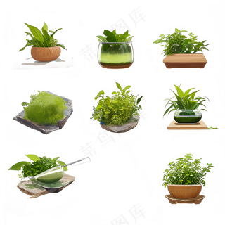 手绘练习小植物花草系列13