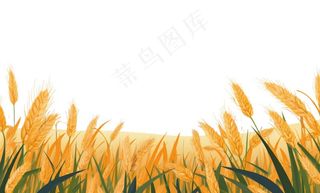 秋季小麦麦穗稻谷麦穗手绘卡通插画免抠