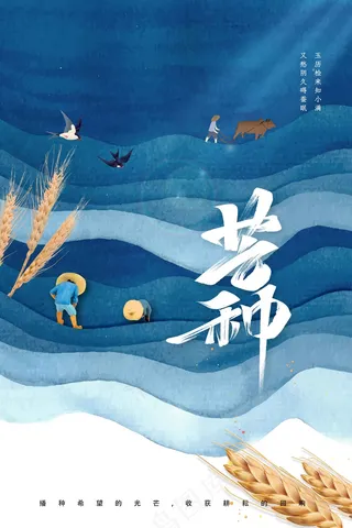 芒种节气传统活动海报