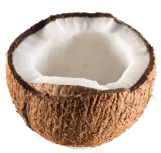 免扣半个椰子图