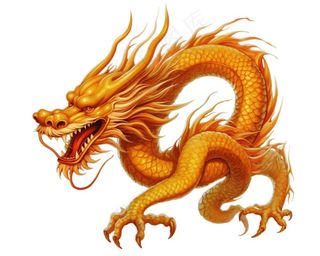 龙金色的龙卡通插画免抠