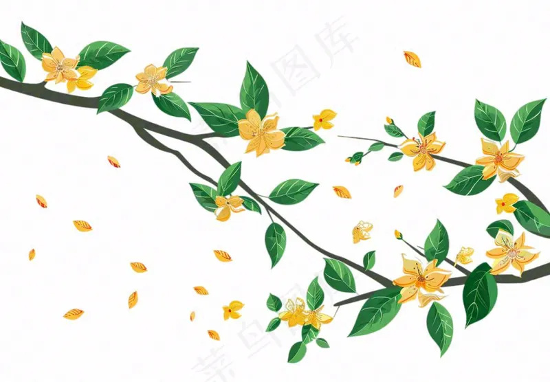 金秋桂花黄花树枝卡通插画免抠(1312x912)