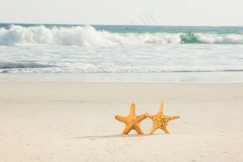 大海沙滩图片 大海沙滩图片