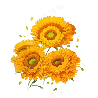金色向日葵花丛素材6