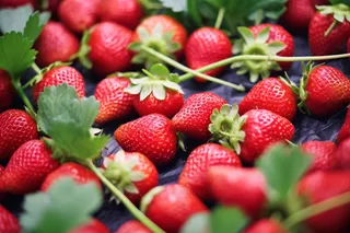 草莓水果摄影图