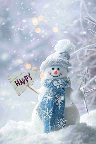 冬天白雪世界可爱雪人木牌欢迎唯美立冬小雪大雪冬至摄影图