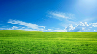 春天草地蓝天白云摄影图