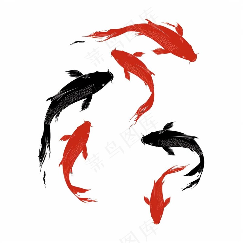 锦鲤红黑水墨画中国风插画免抠(1024x1024)