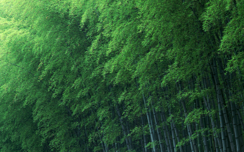 经典风景壁纸 (23)