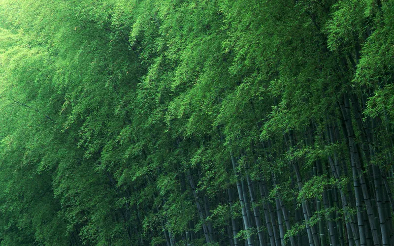 经典风景壁纸 (23)