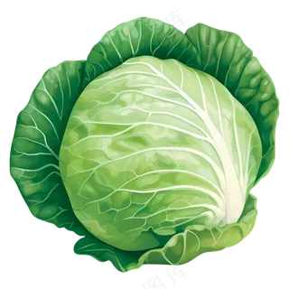 免抠一个卡通的大白菜