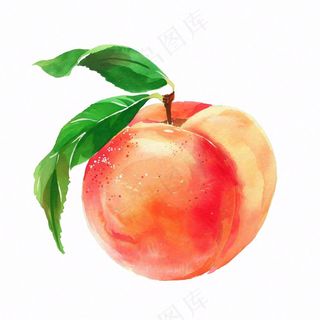水蜜桃桃子水果水彩插画免抠