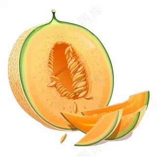 哈密瓜水果卡通插画免抠