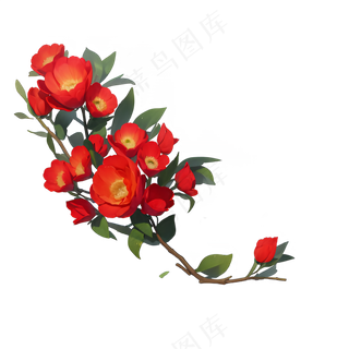 红色 海棠花 手绘 免抠 素材3