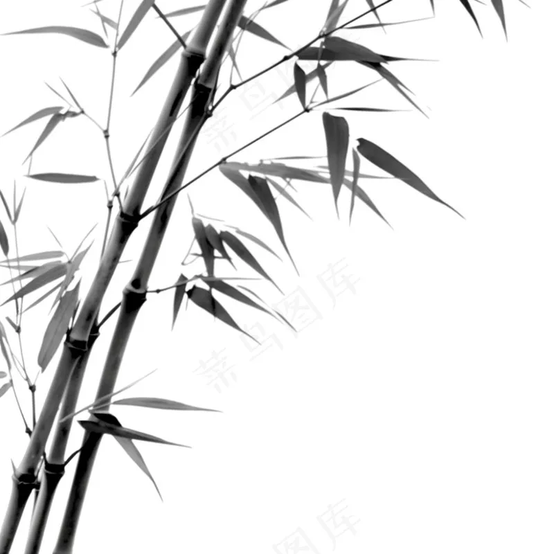 竹林竹叶水墨画古风黑白插画免抠(1024x1024)