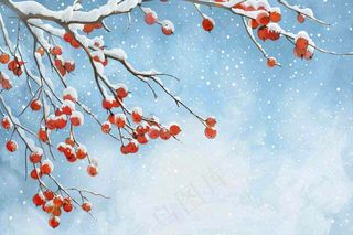 冬天白雪覆盖的红色果实白霜霜降小雪大雪水彩插画背景
